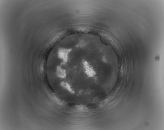 X0000096160424200802011300