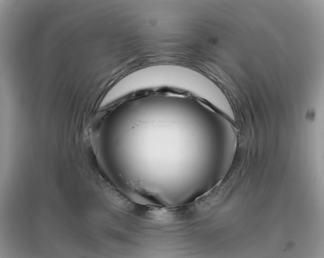 X0000096160425200802011300