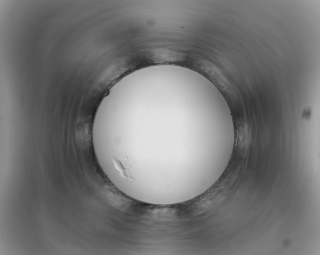 X0000096160426200802011300