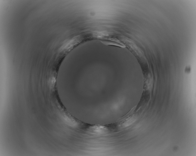 X0000096160427200802011300