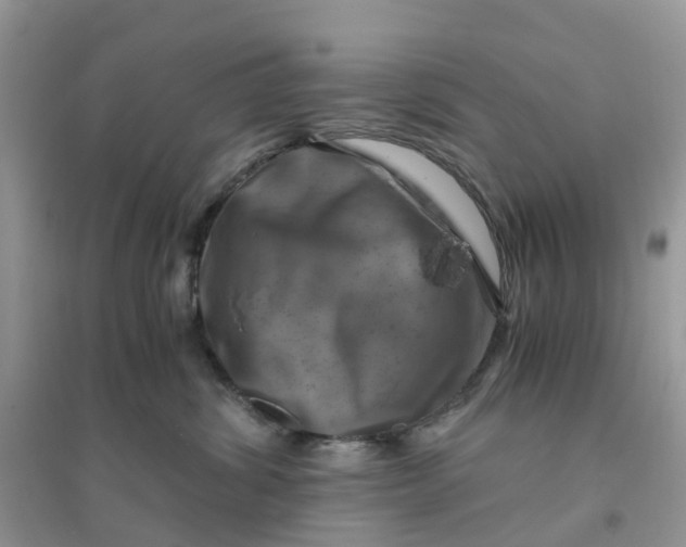 X0000096160428200802011300