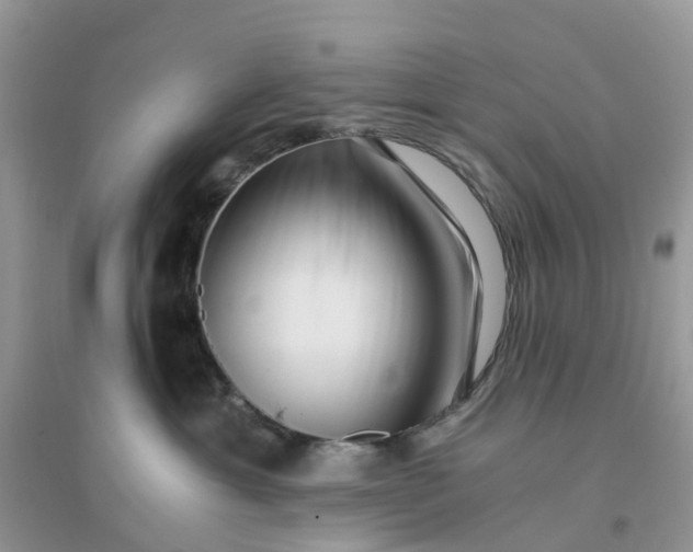 X0000096160429200802011300