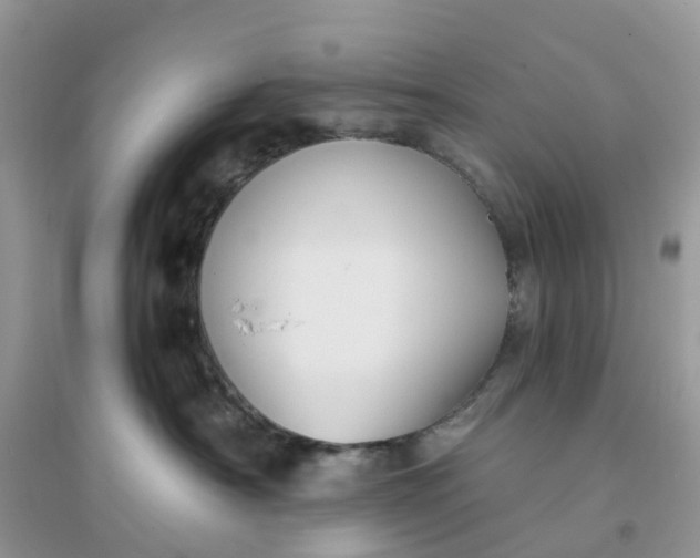 X0000096160430200802011300