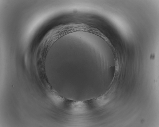 X0000096160431200802011300