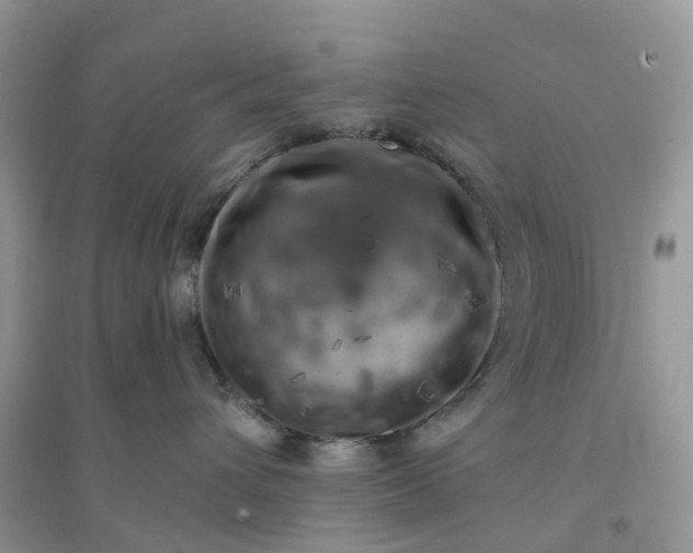 X0000096160432200802011300