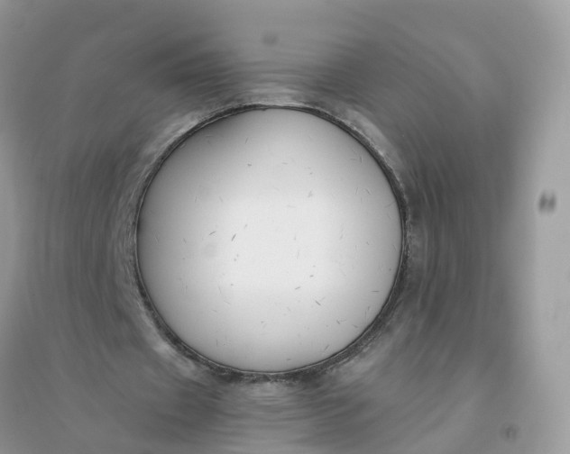 X0000096160433200802011259