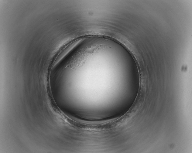 X0000096160434200802011259