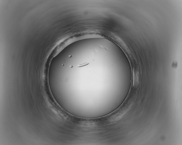 X0000096160435200802011259