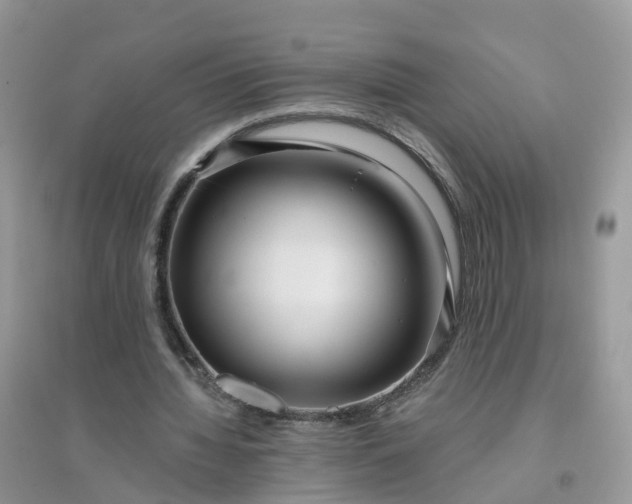 X0000096160436200802011259