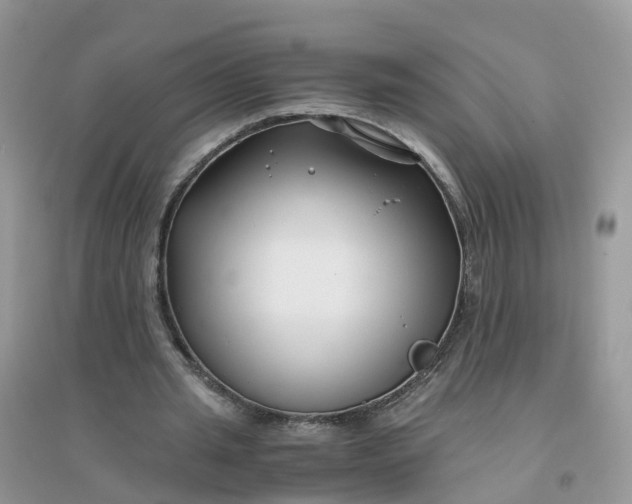 X0000096160437200802011259