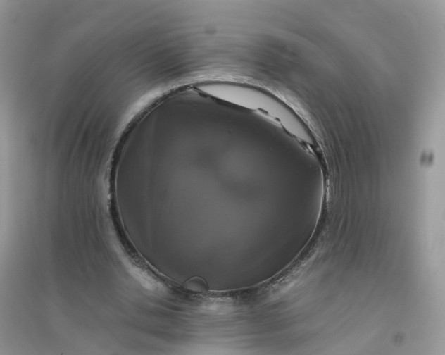 X0000096160438200802011259