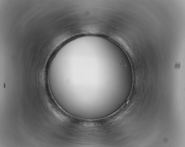 X0000096160439200802011259