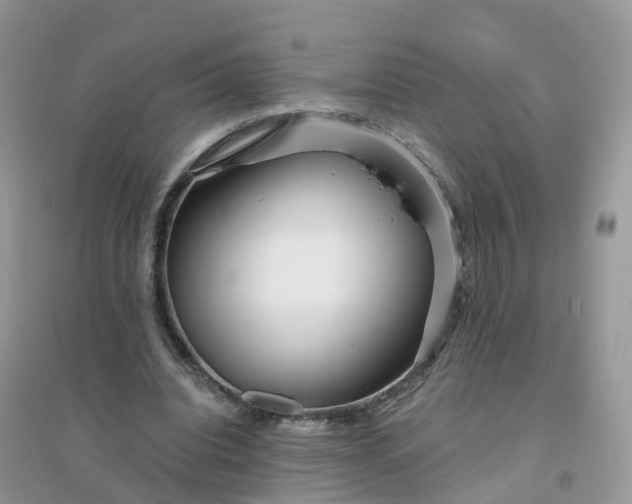 X0000096160440200802011259