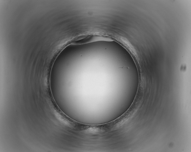 X0000096160441200802011259