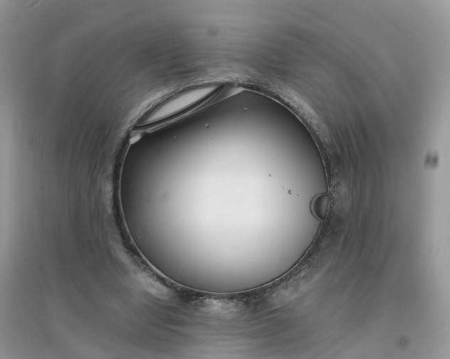 X0000096160442200802011259