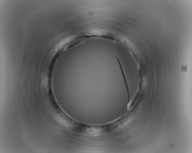 X0000096160444200802011259