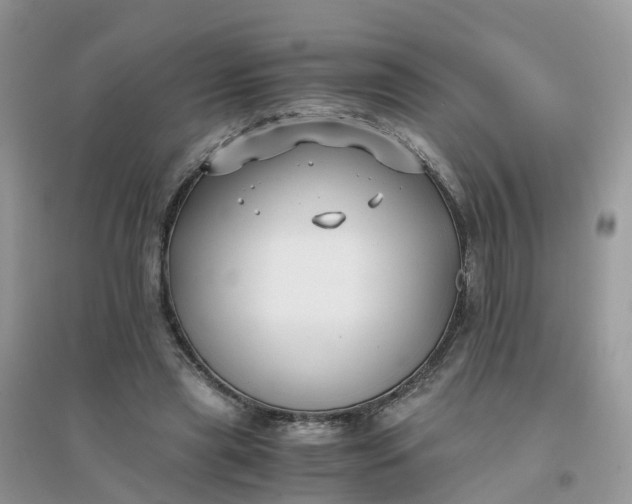 X0000096160445200802011259