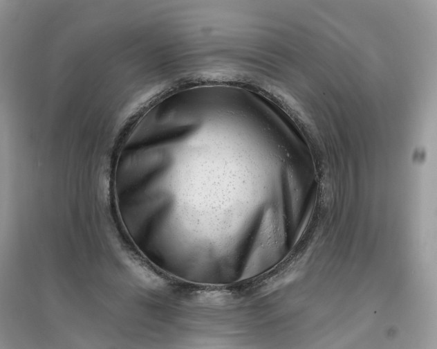 X0000096160446200802011259