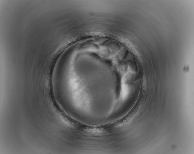 X0000096160449200802011259