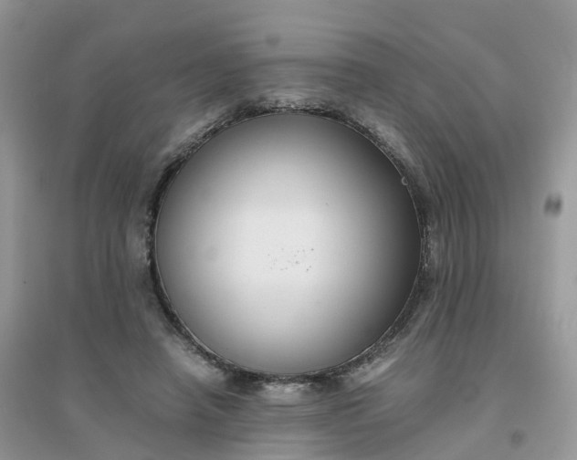 X0000096160450200802011259