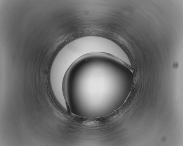 X0000096160452200802011259