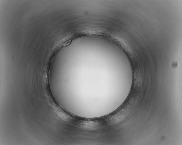 X0000096160453200802011259