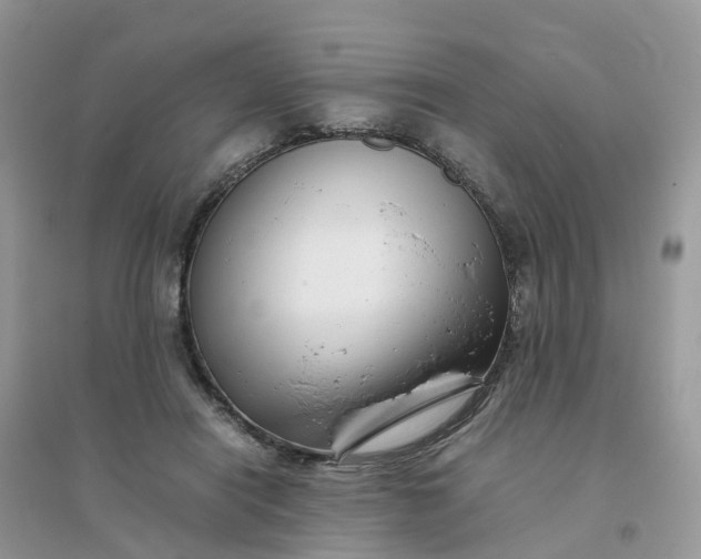 X0000096160454200802011259