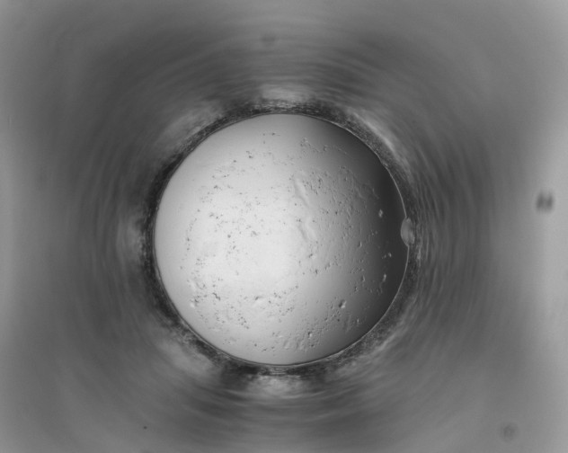 X0000096160455200802011259