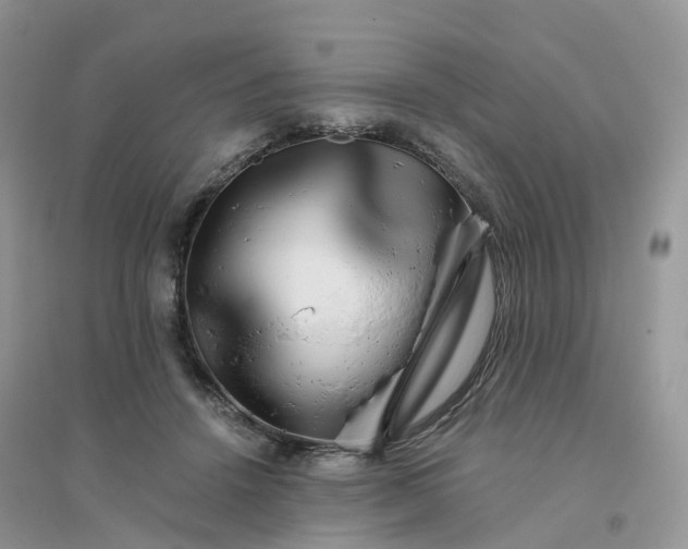 X0000096160456200802011300