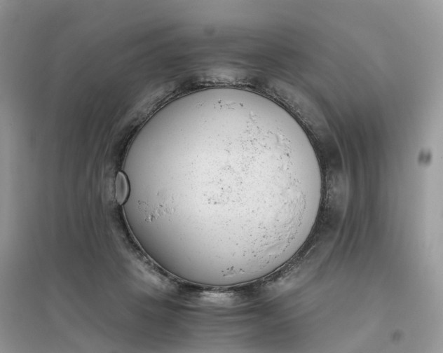 X0000096160457200802011300