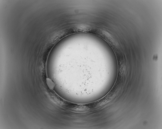 X0000096160459200802011300