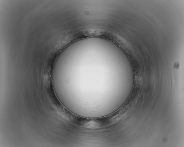 X0000096160460200802011300