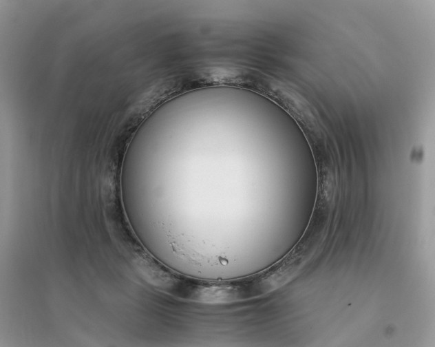 X0000096160461200802011300