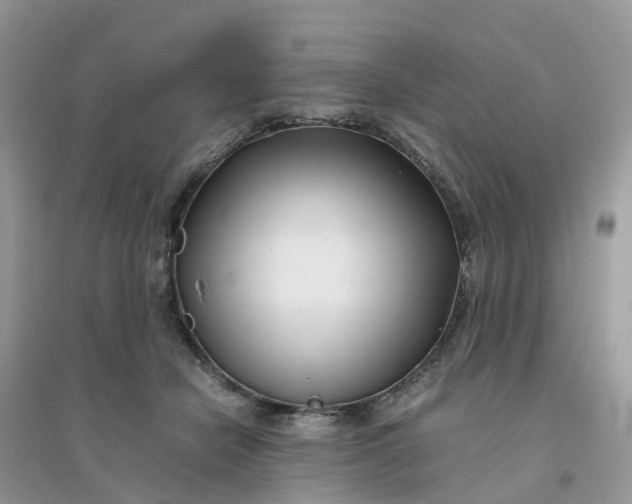 X0000096160462200802011300