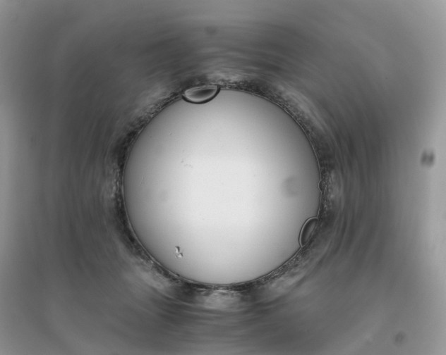 X0000096160463200802011300