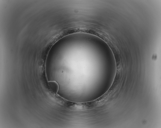 X0000096160464200802011300