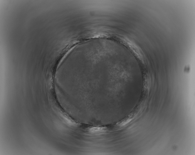 X0000096160465200802011300