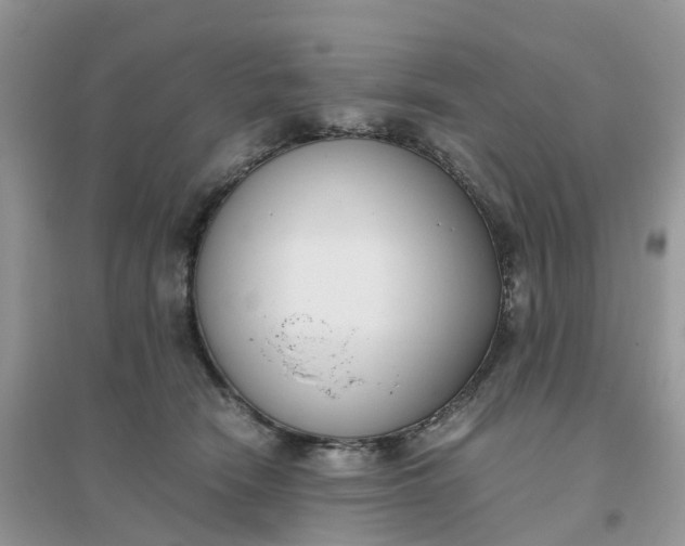 X0000096160466200802011300