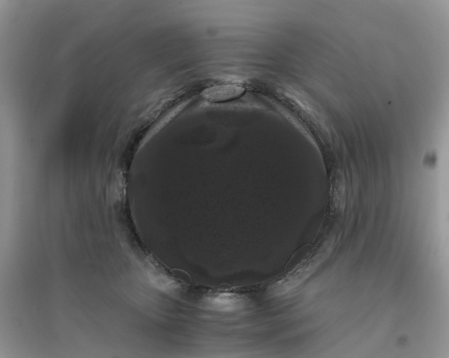 X0000096160467200802011300