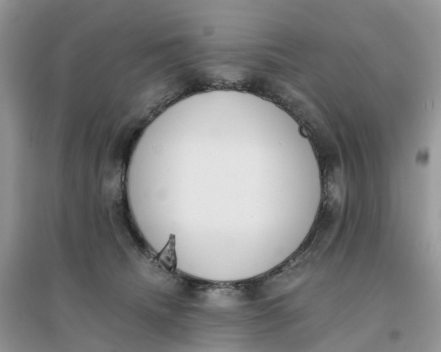 X0000096160468200802011300