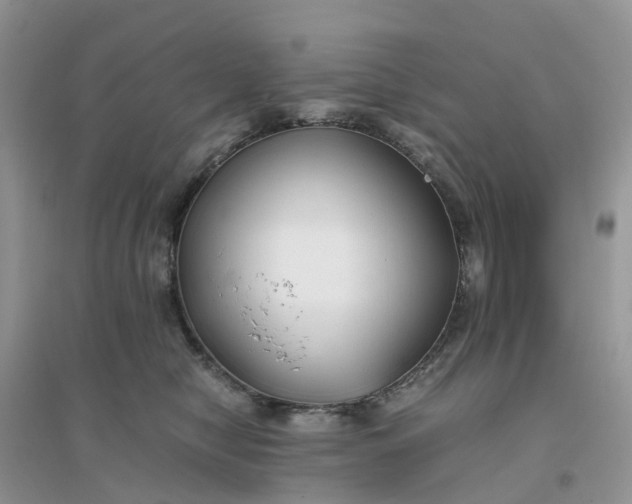 X0000096160470200802011300