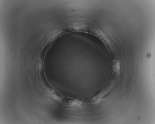 X0000096160471200802011300