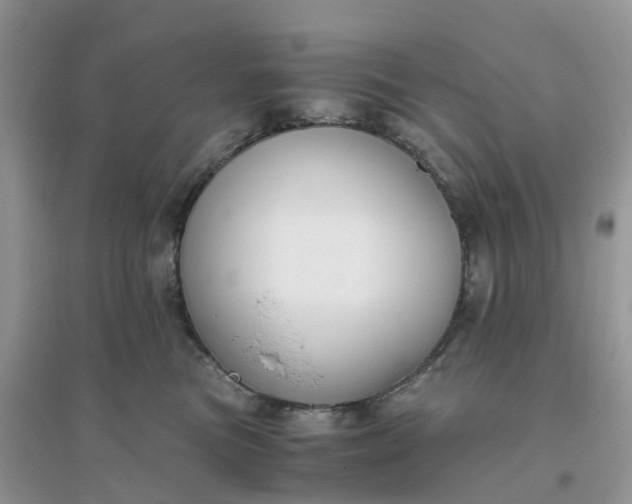 X0000096160473200802011300