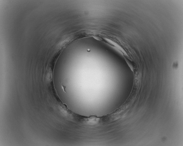 X0000096160474200802011300