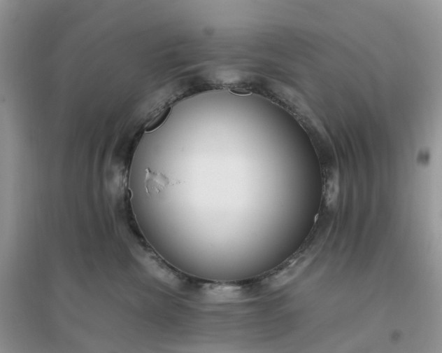 X0000096160476200802011300