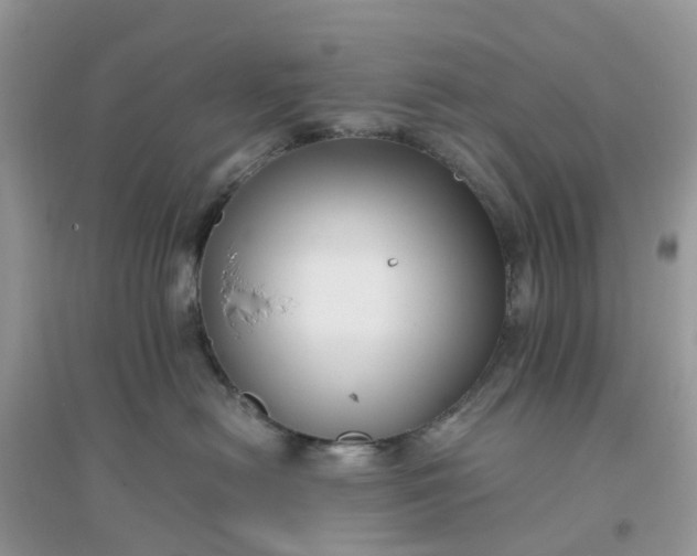 X0000096160478200802011300