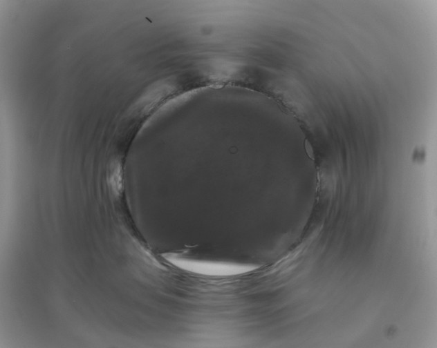 X0000096160479200802011300