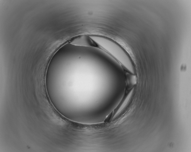 X0000096160481200802011259