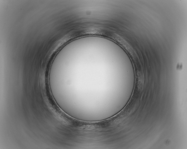 X0000096160482200802011259