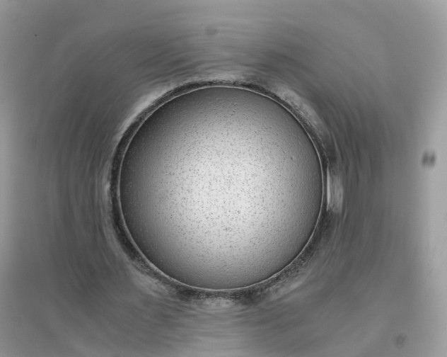 X0000096160483200802011259